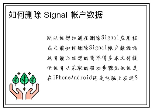 如何删除 Signal 帐户数据 